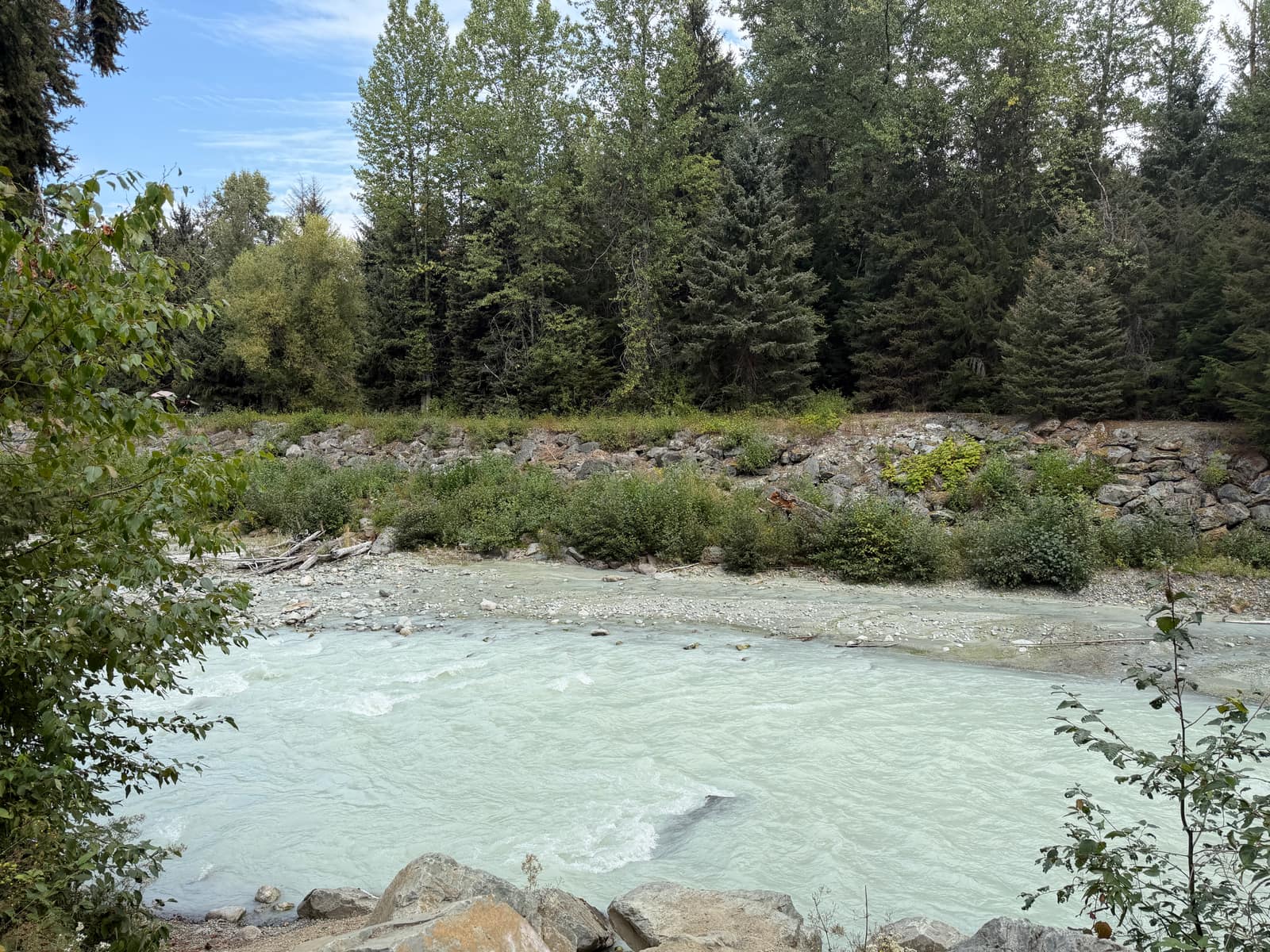 A pale green river running past a rocky bank and a stand of evergreens.